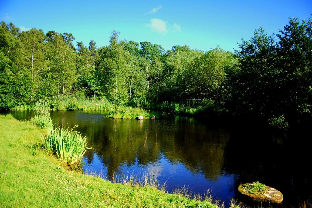 Sielanka - Domki I Pokoje Pod Leba Zarnowska ภายนอก รูปภาพ